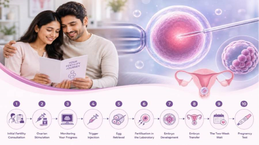 IVF Process: A Step-by-Step Guide to Your Fertility Journey